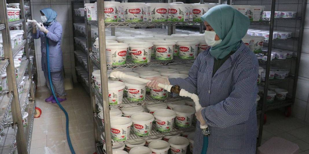 9 kadından günlük 7 ton üretim: Sütten çeşit çeşit lezzet elde ediyorlar 3